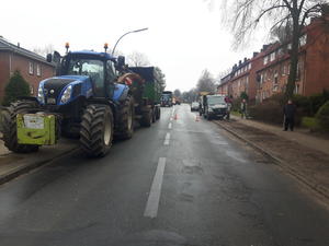 Baumf&auml;llung Reinbeker Weg