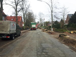 Baumf&auml;llung Reinbeker Weg