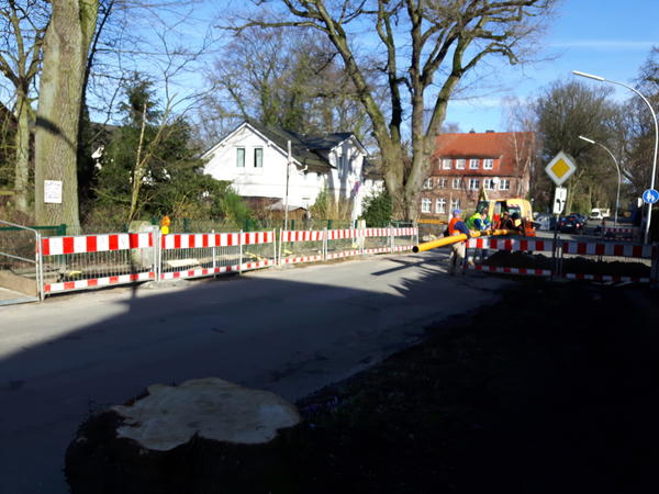 Reinbeker Weg 20170322 6