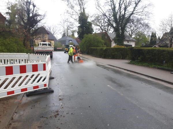 Reinbeker Weg 20170425 2