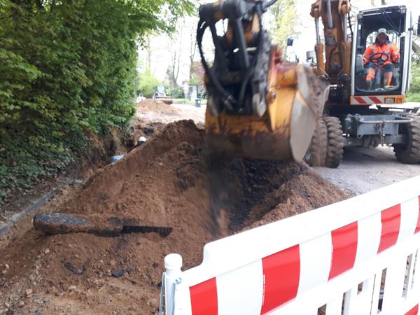 Reinbeker Weg 20170510 9