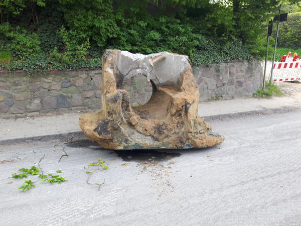Reinbeker Weg 20170510 10