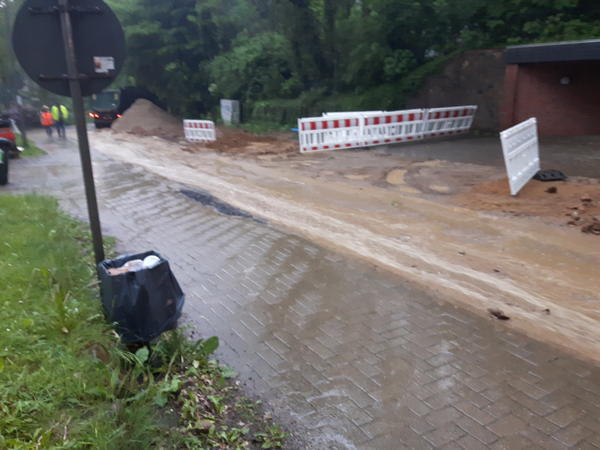 Reinbeker Weg 20170530 2