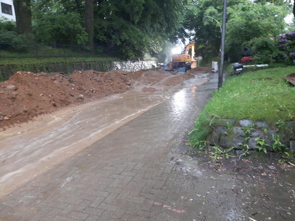Reinbeker Weg 20170530 4