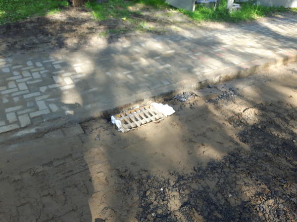 Reinbeker Weg 20170609 5