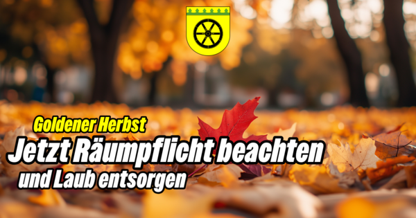 Jetzt R&auml;umpflicht beachten und Laub entsorgen