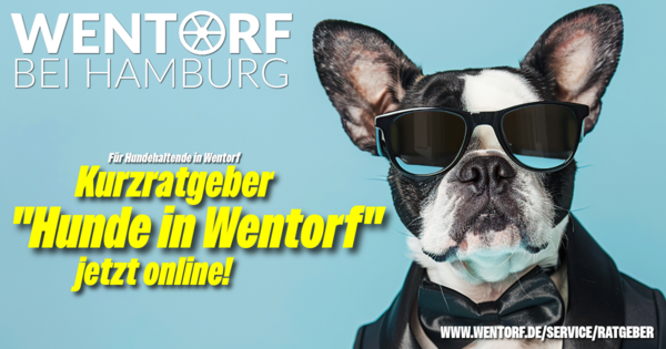 Kurzratgeber "Hunde in Wentorf bei Hamburg" jetzt online