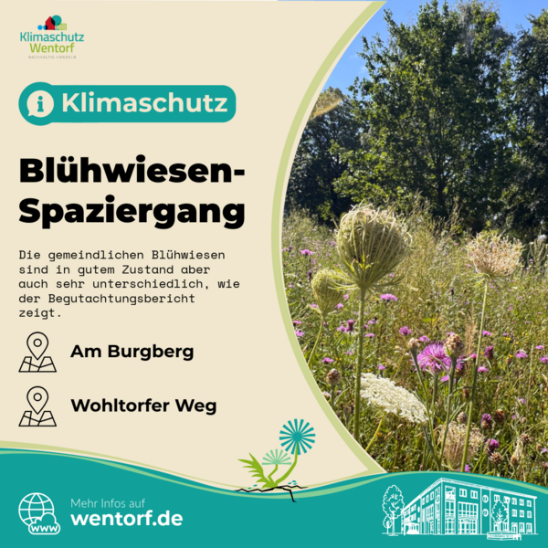 Bl�hwiesenbegutachtung zeigt: Wentorfer Bl�hwiesen funktionieren und sind sehr unterschiedlich